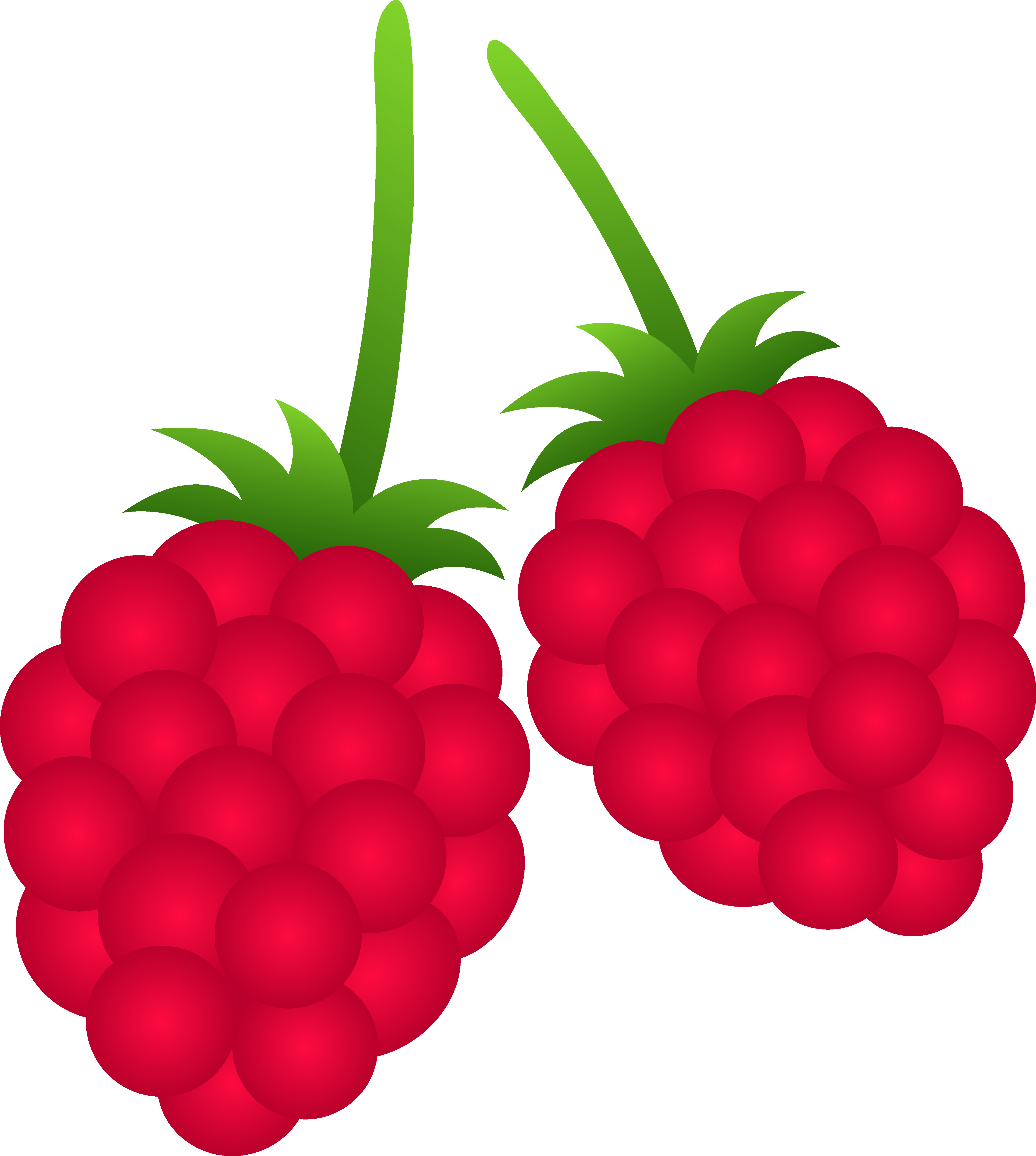 Clipart berries.