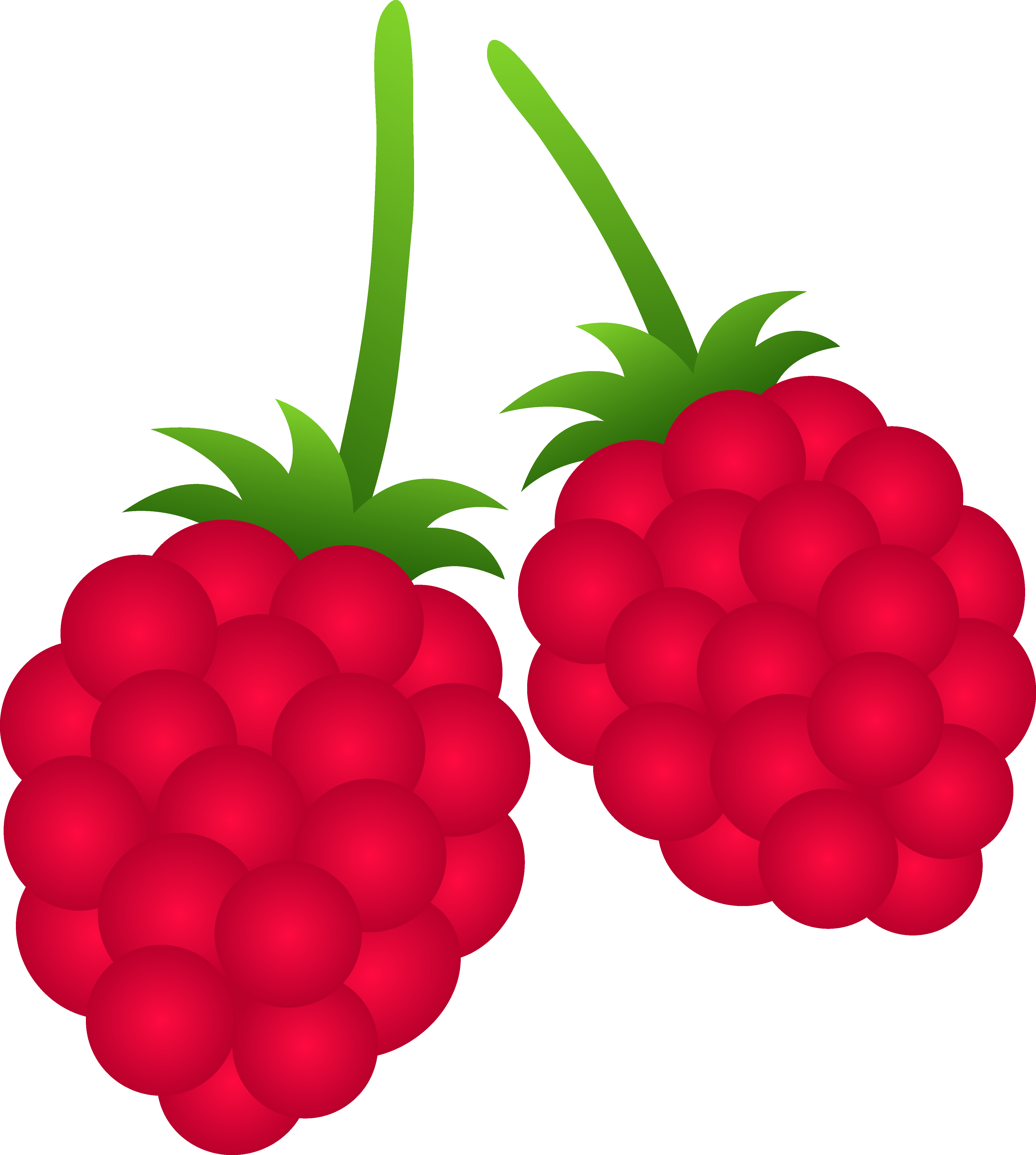 Raspberry clipart 20 free Cliparts | Download images on Clipground 2024