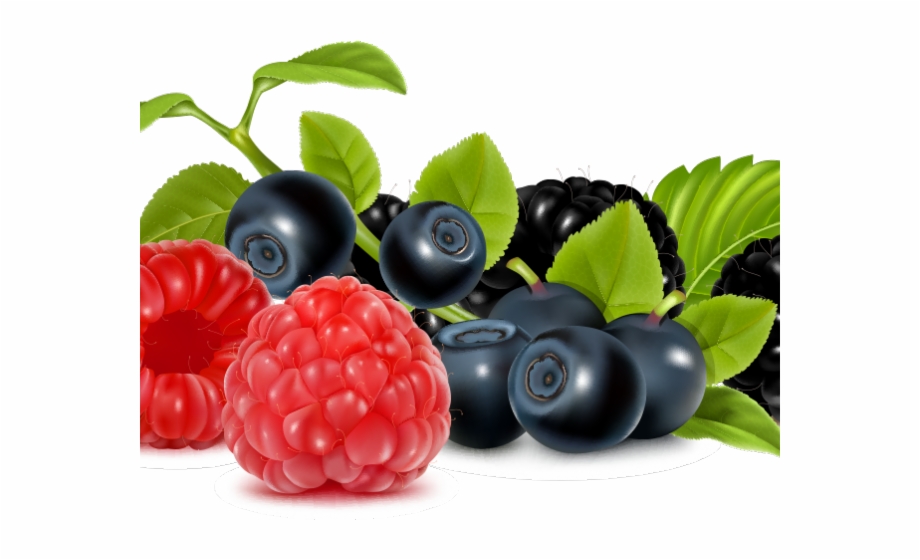 Berries Clipart Wild Berry.