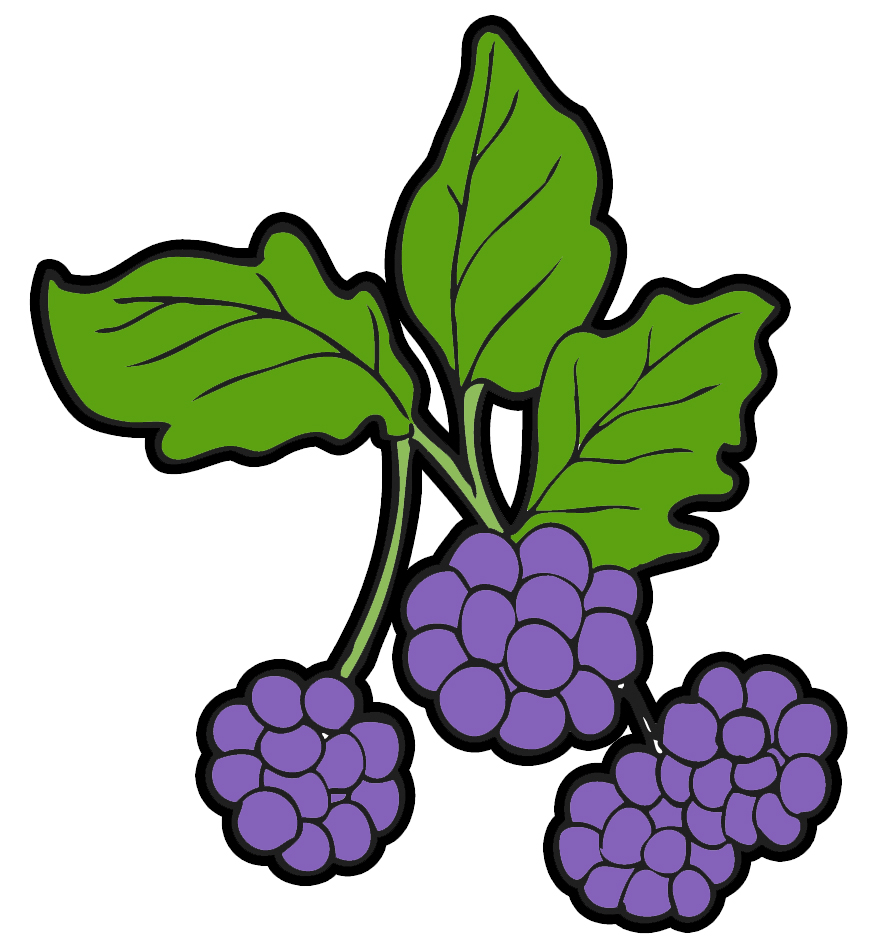 Berry Clipart.