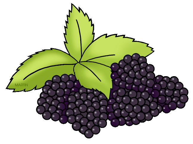 Clipart blackberry fruit.