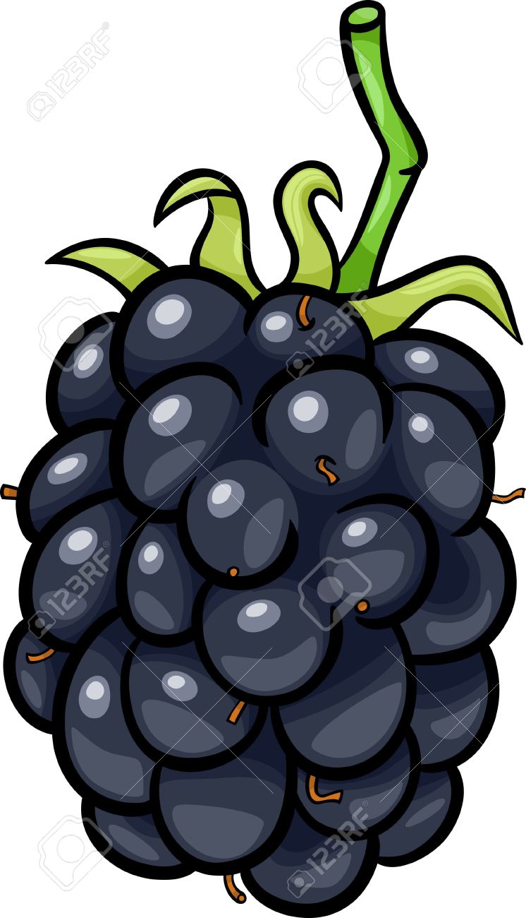 Cartoon Illustration Of Blackberry Berry Fruit Food Object Royalty.