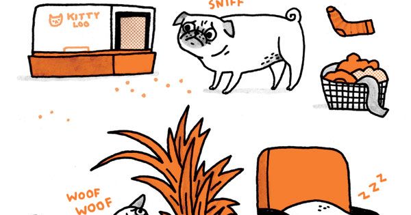 A pug and Pug on Pinterest.