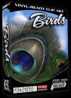 Amazon.com: Bird EPS Vector Sign Clipart.