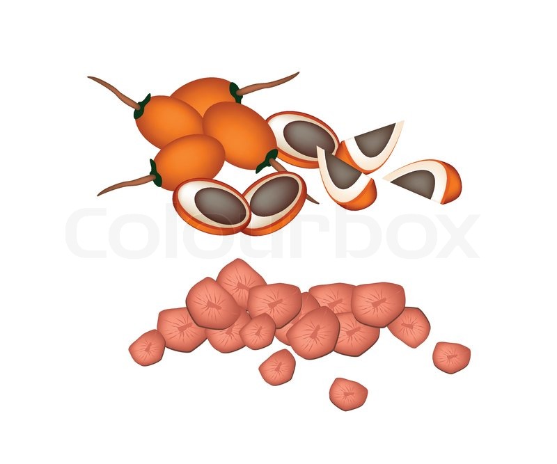 betel nut clipart 10 free Cliparts | Download images on Clipground 2021