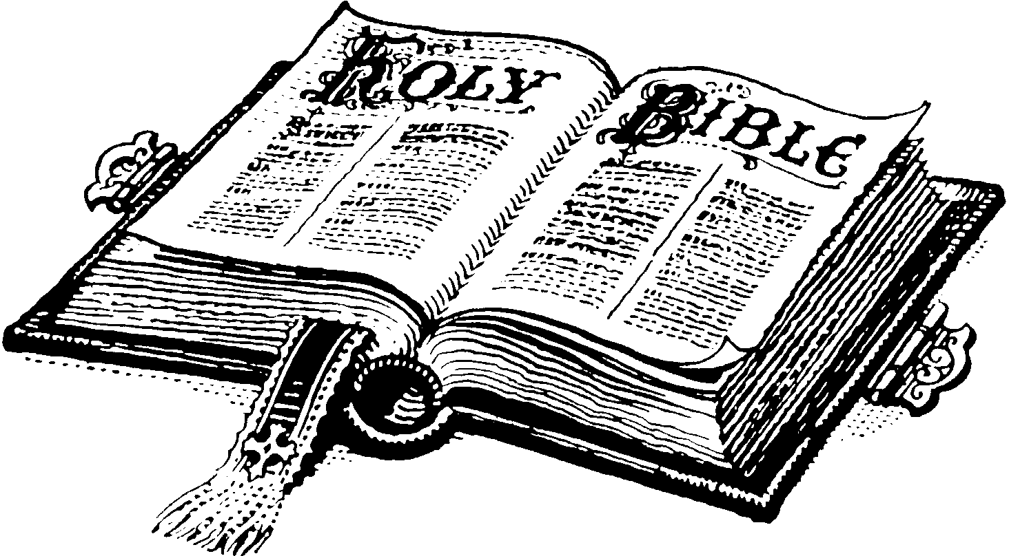 Free Clip Art Bible Study   Clipart Free Download.