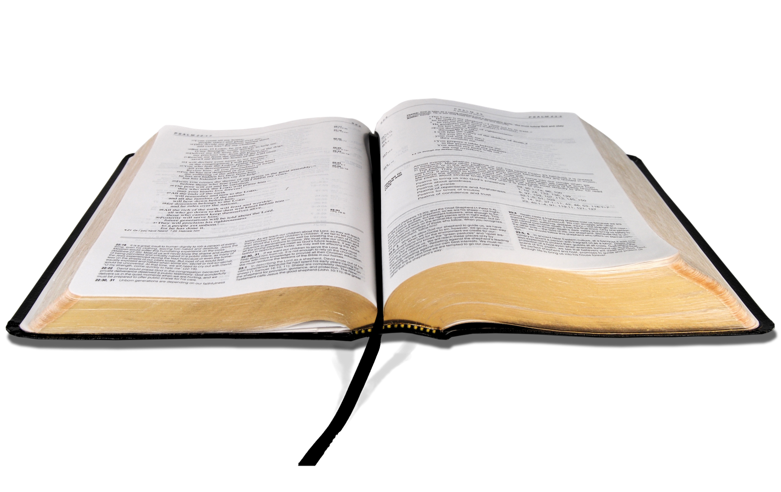 Use These Bible Vector Clipart #35043.
