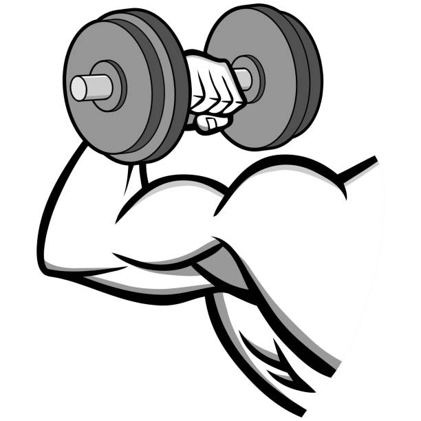 bicep curl clipart 20 free Cliparts | Download images on Clipground 2021