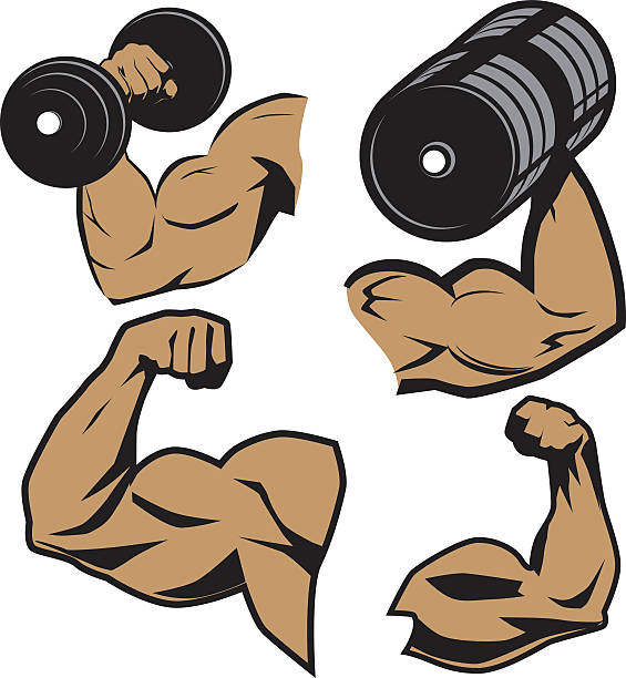 bicep curl clipart 20 free Cliparts | Download images on Clipground 2022