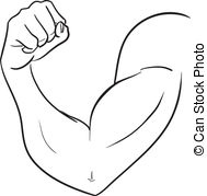 Biceps Illustrations and Stock Art. 5,338 Biceps illustration.