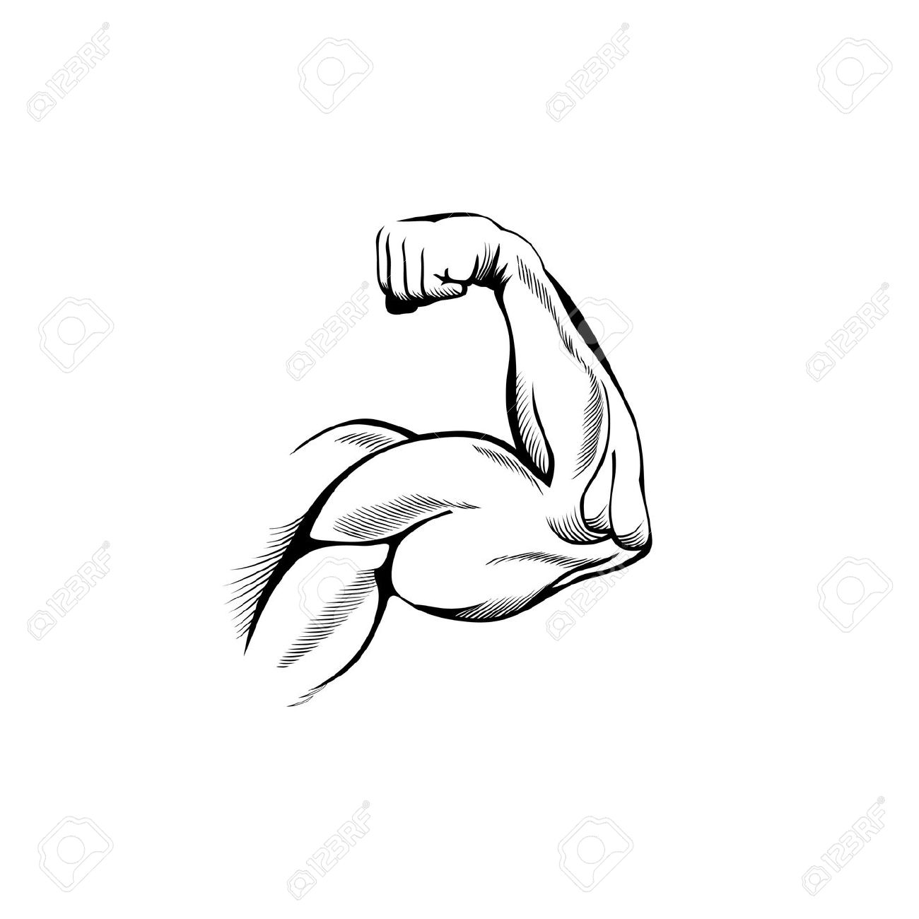 Biceps clipart 20 free Cliparts | Download images on Clipground 2022