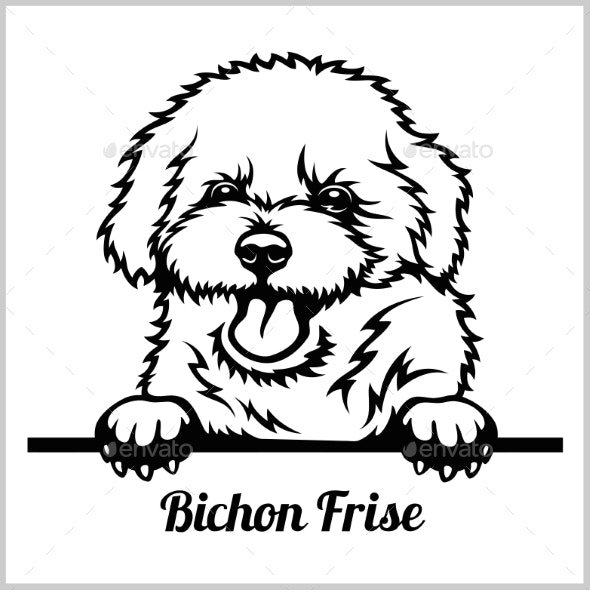 Download bichon black and white clipart 10 free Cliparts | Download ...