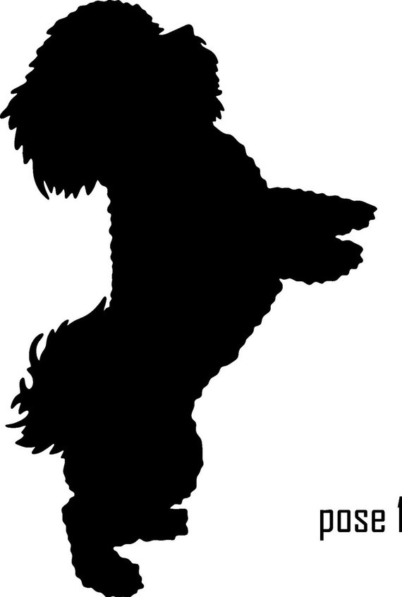 bichon-clipart-20-free-cliparts-download-images-on-clipground-2022