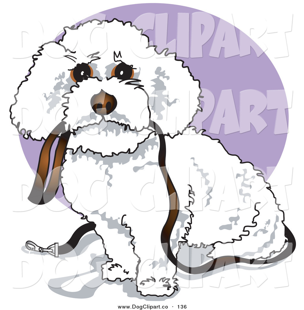 Bichon frise clipart.