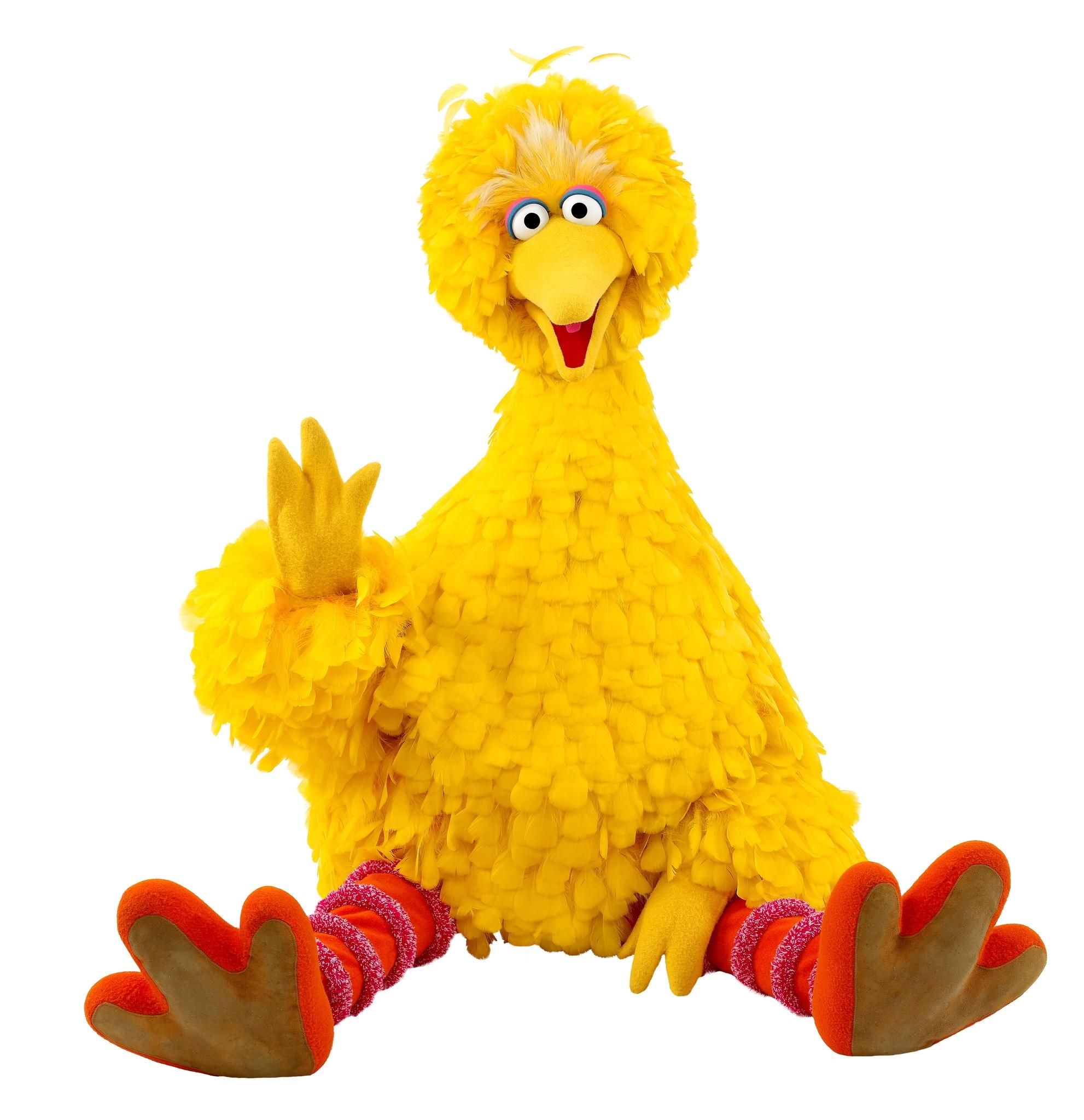 Image result for images of Big Bird.