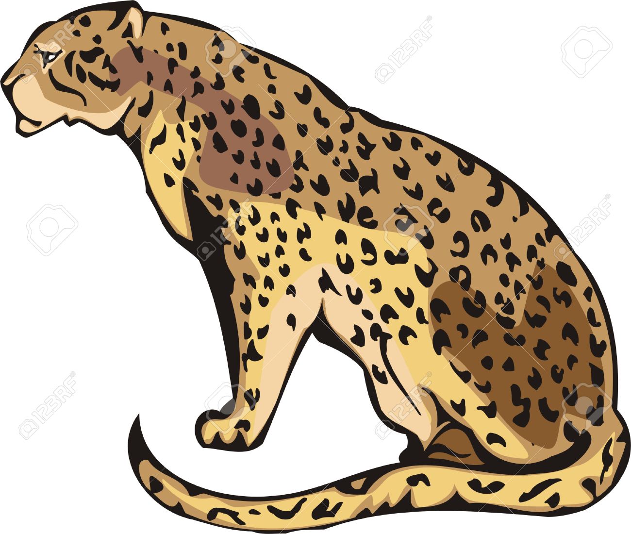 Big cats clipart 20 free Cliparts | Download images on Clipground 2024