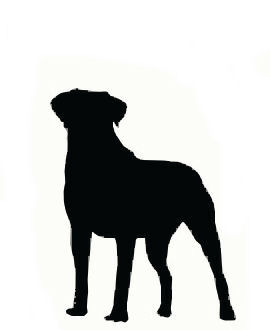 Silhouette of Large Dog.