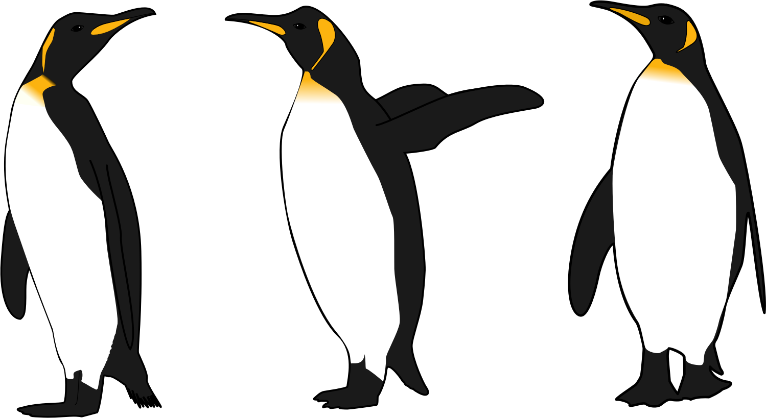 Пингвин картинка для детей на прозрачном фоне. Пингвин сбоку. Пингвины векторные. Пингвин вектор. Королевский Пингвин на прозрачном фоне.