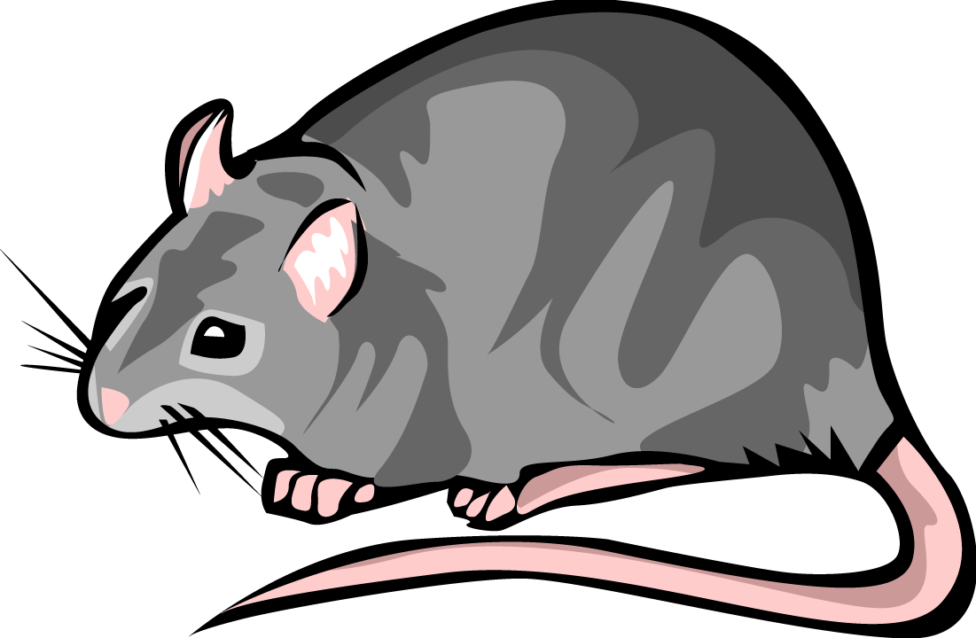 Rat Clip Art Free.