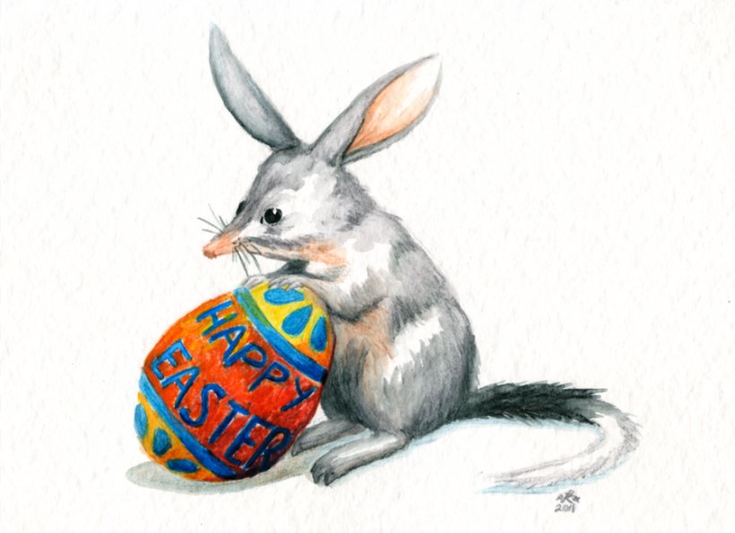 Easter Bunny Australia Easter Bilby Greater Bilby An Aussie.