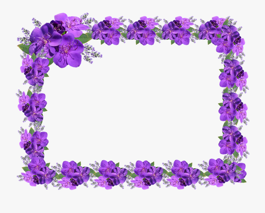 Frame, Border, Floral Purple.