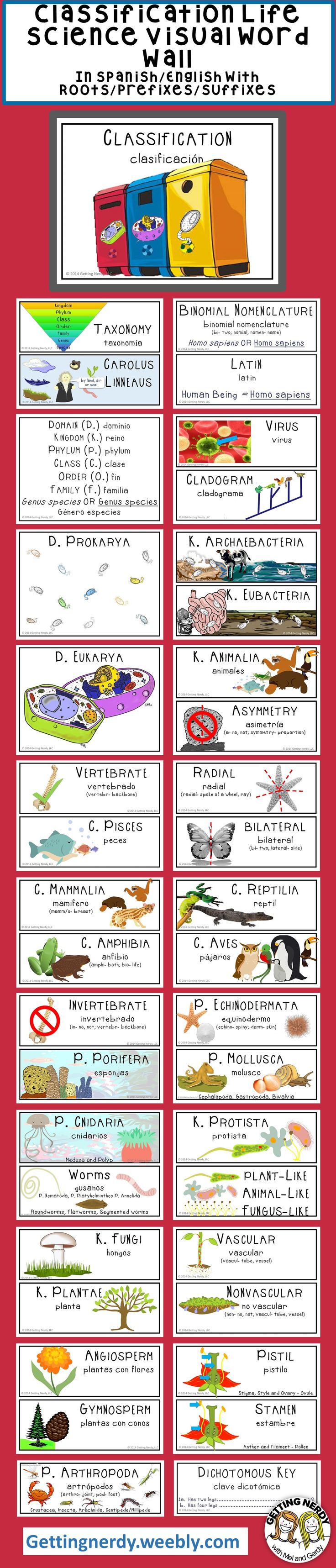 biology class clipart spanish 20 free Cliparts | Download images on ...