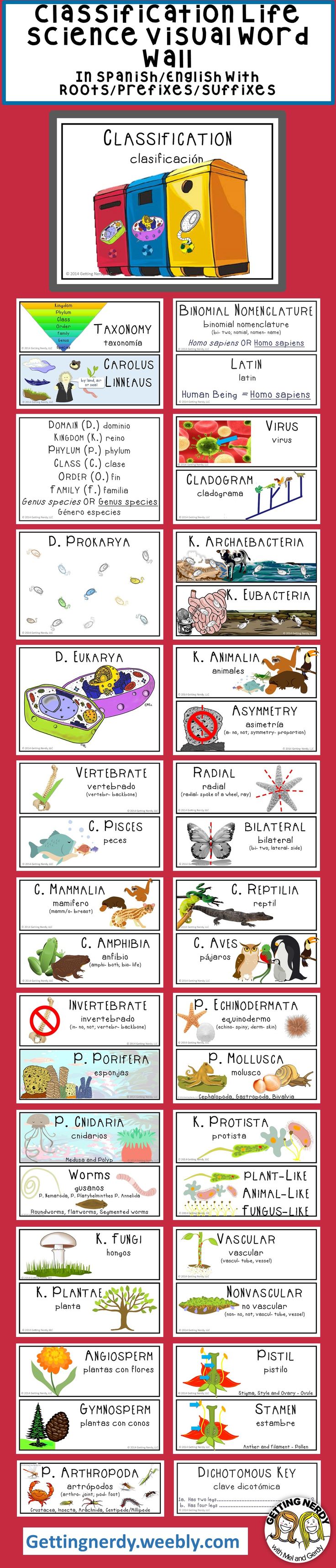 biology-class-clipart-spanish-20-free-cliparts-download-images-on