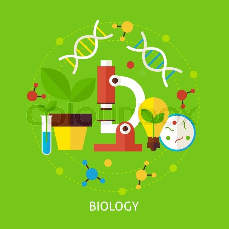 Biology clipart 4 » Clipart Station.