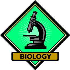 Free Biology Cliparts, Download Free Clip Art, Free Clip Art.
