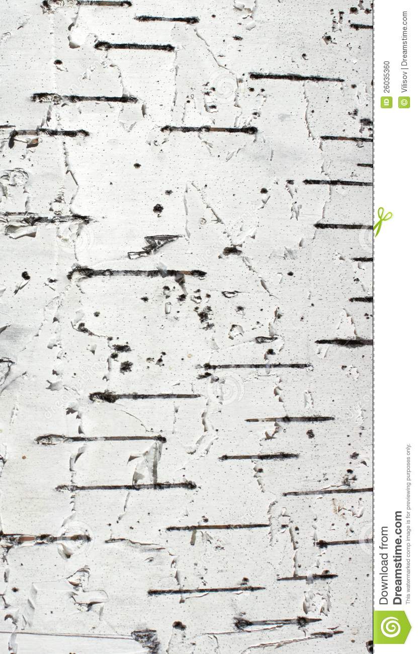 Free Printable Birch Bark Paper Discover The Beauty Of Printable Paper