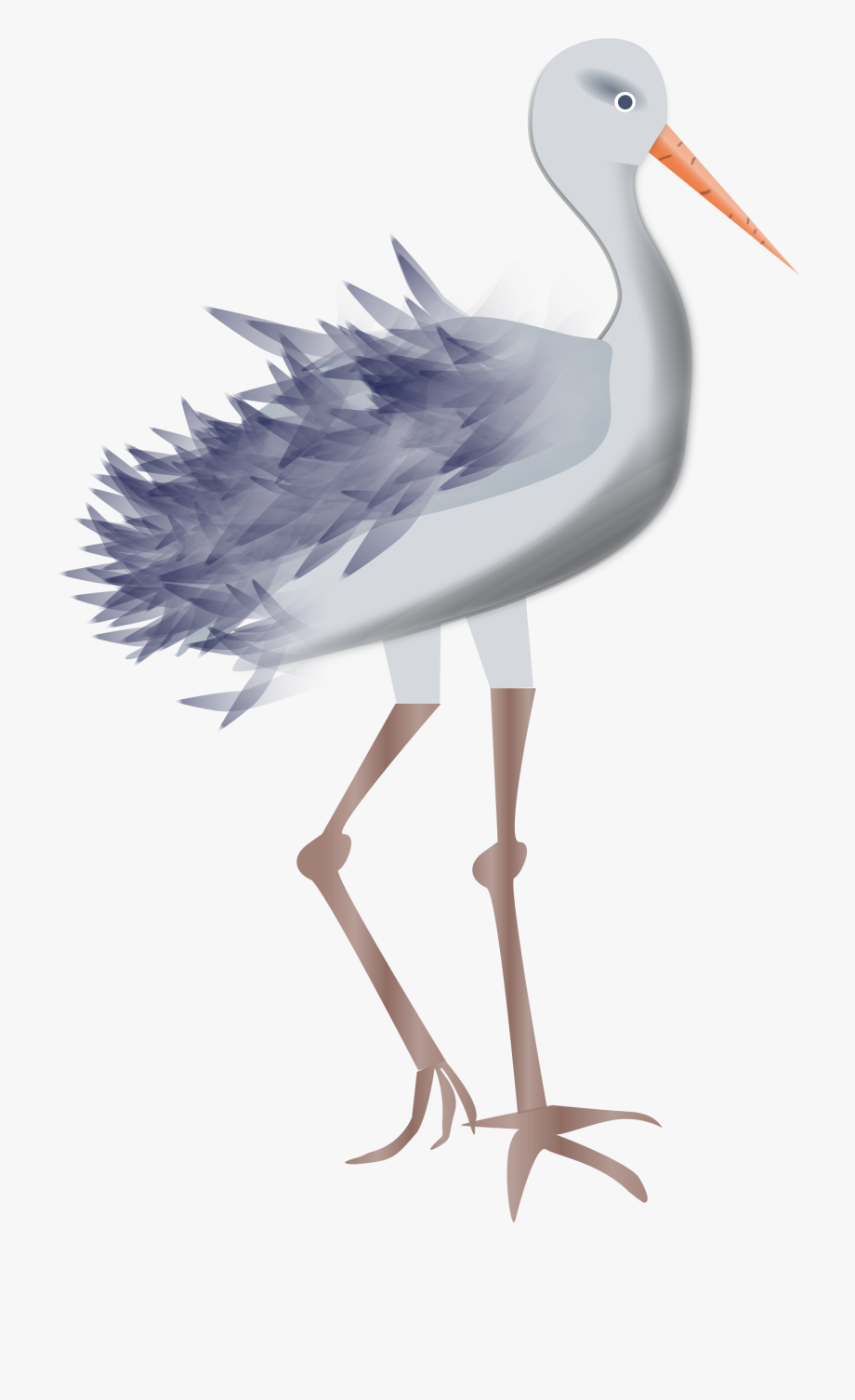 Bird With Legs.