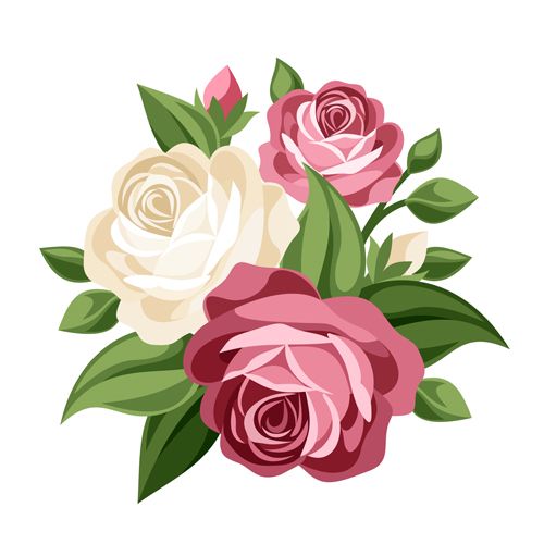 1000+ ideas about Vector Flowers on Pinterest.