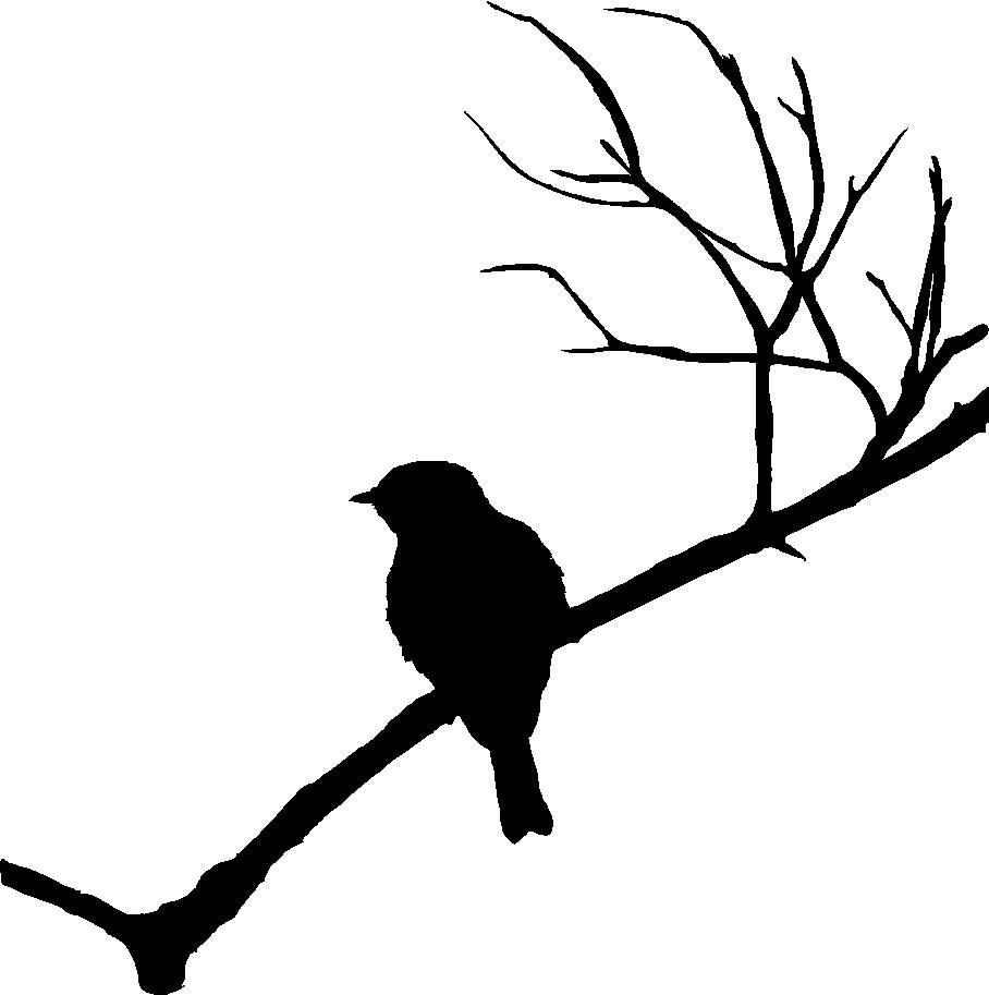 Bird On Branch Silhouette.