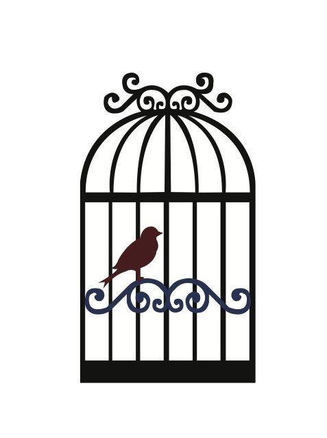 Bird cage clipart 20 free Cliparts | Download images on Clipground 2022