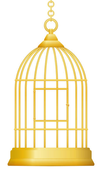 bird cage pictures clip art 20 free Cliparts | Download images on ...