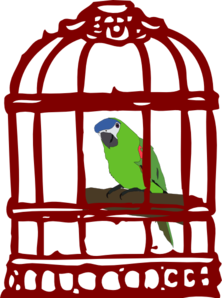 Parrot In A Bird Cage Clip Art at Clker.com.