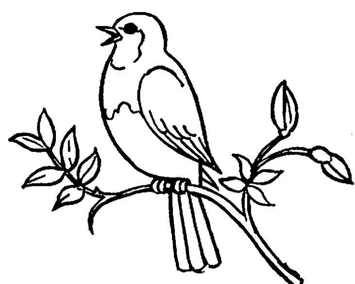 bird clipart black and white 20 free Cliparts | Download images on