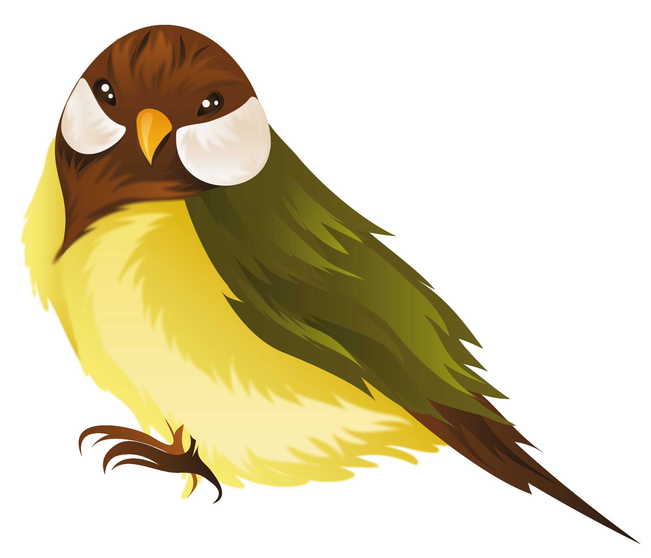 Bird PNG Clipart Image.