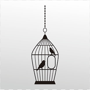 32 bird Trapping PNG cliparts for free download.