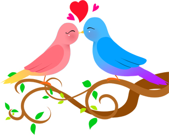 Download Bird kiss clipart 20 free Cliparts | Download images on Clipground 2021