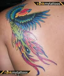 28 Best Bird Of Paradise Tattoos For Women images in 2017.