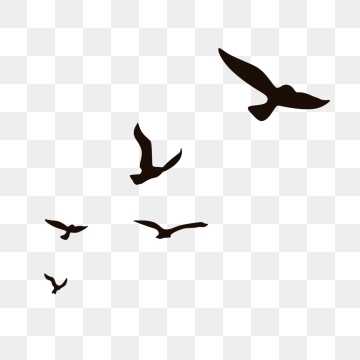 Flying Bird PNG Images.