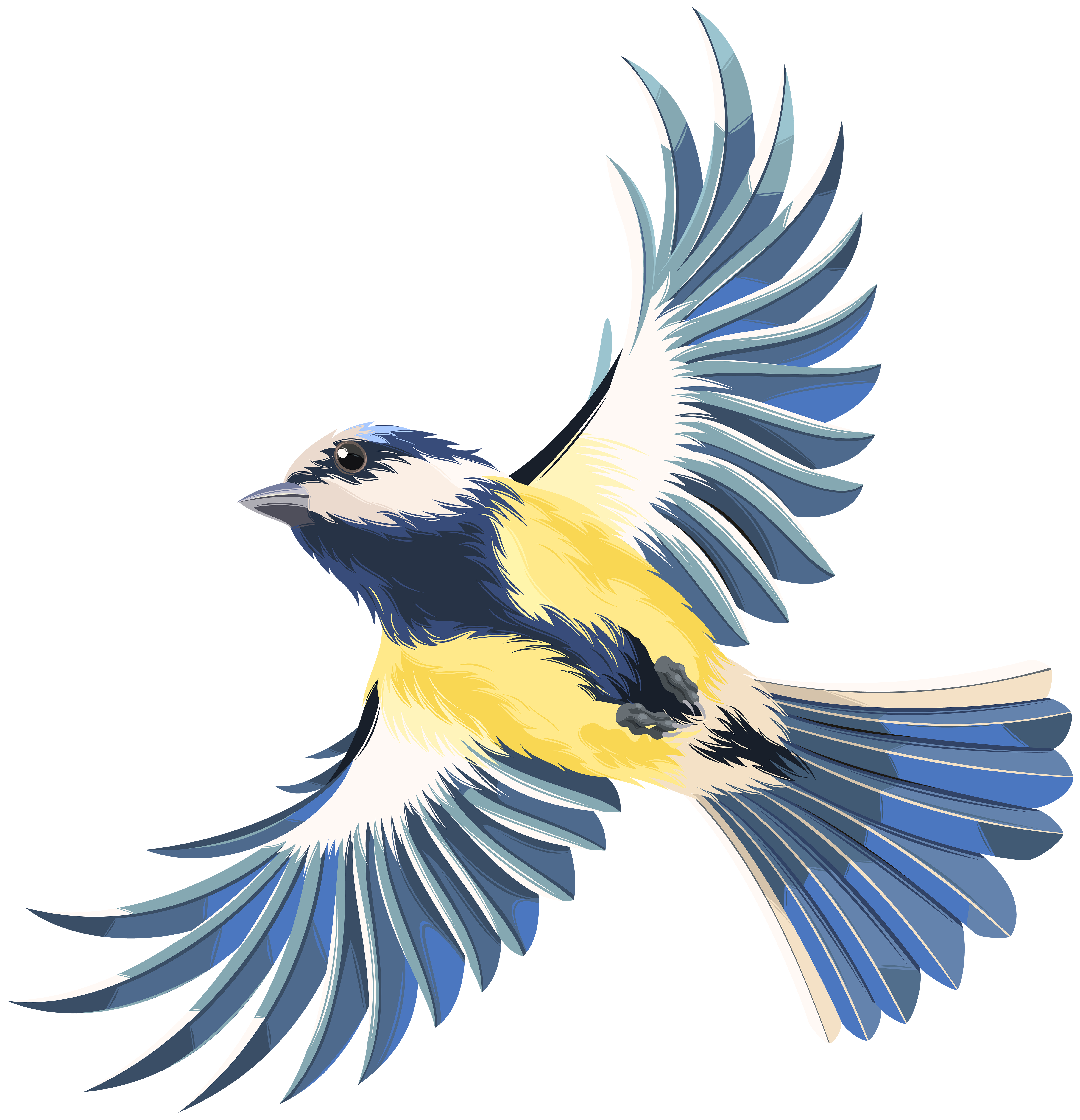 Flying Bird Transparent PNG Clip Art Image.