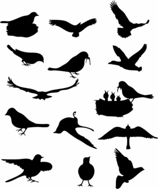 Bird free vector download (3,126 Free vector) for commercial.