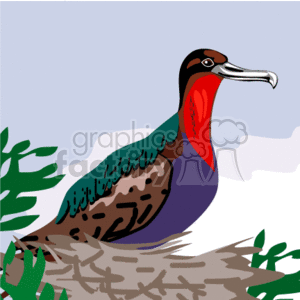 A Multicolored Bird sitting in a nest clipart. Royalty.