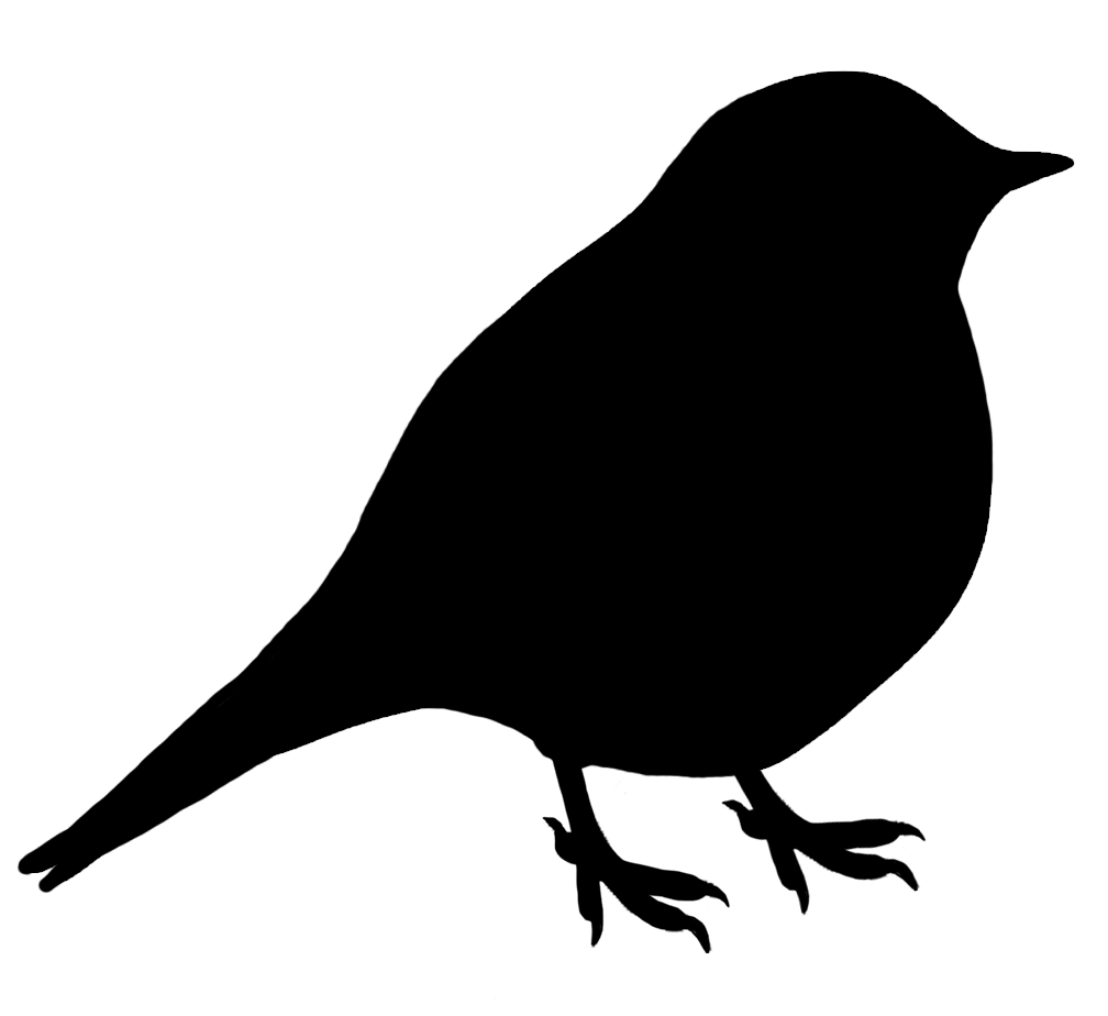 Bird Sitting On Branch Clip Art 20 Free Cliparts Download Images On 