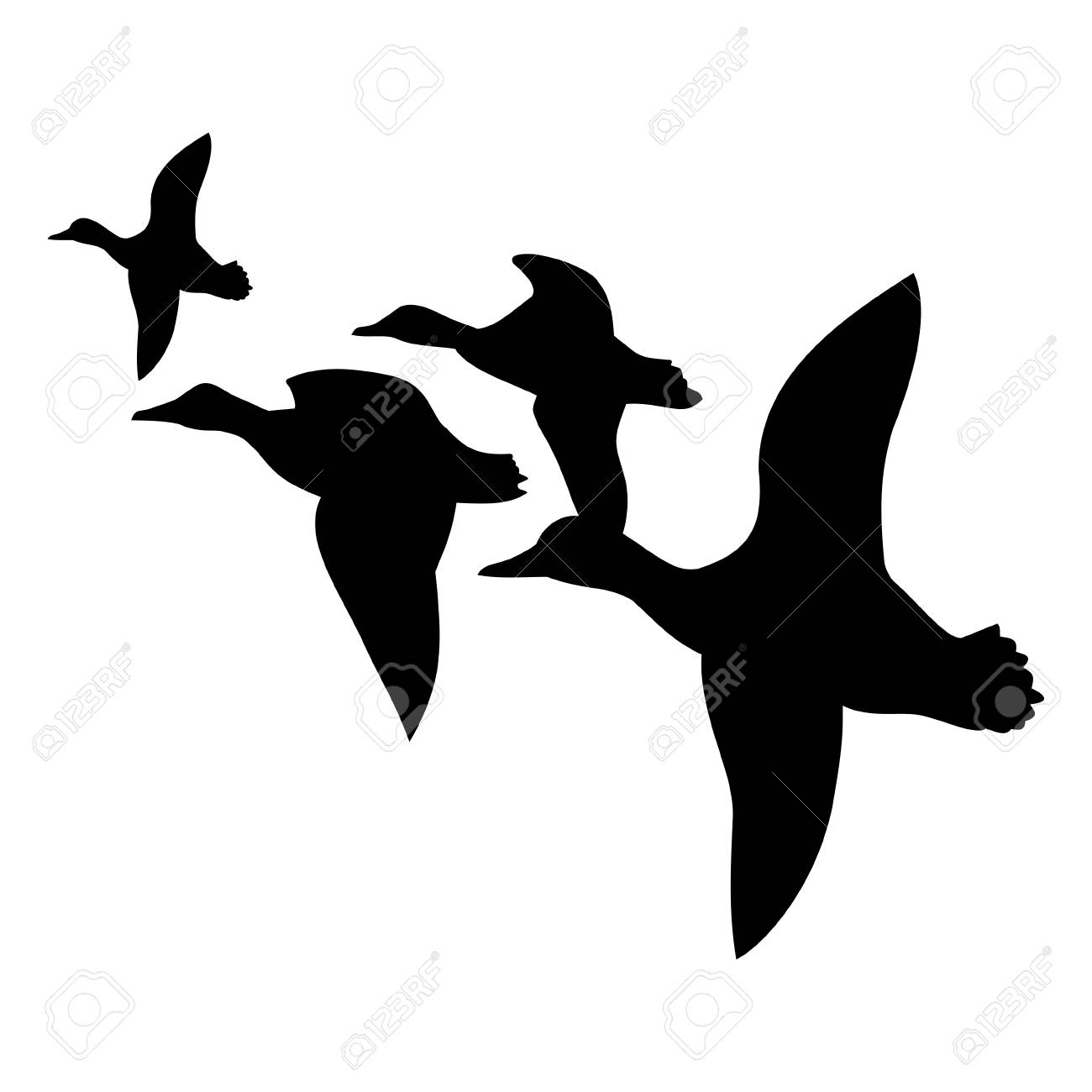 ducks fly South,vector illustration.