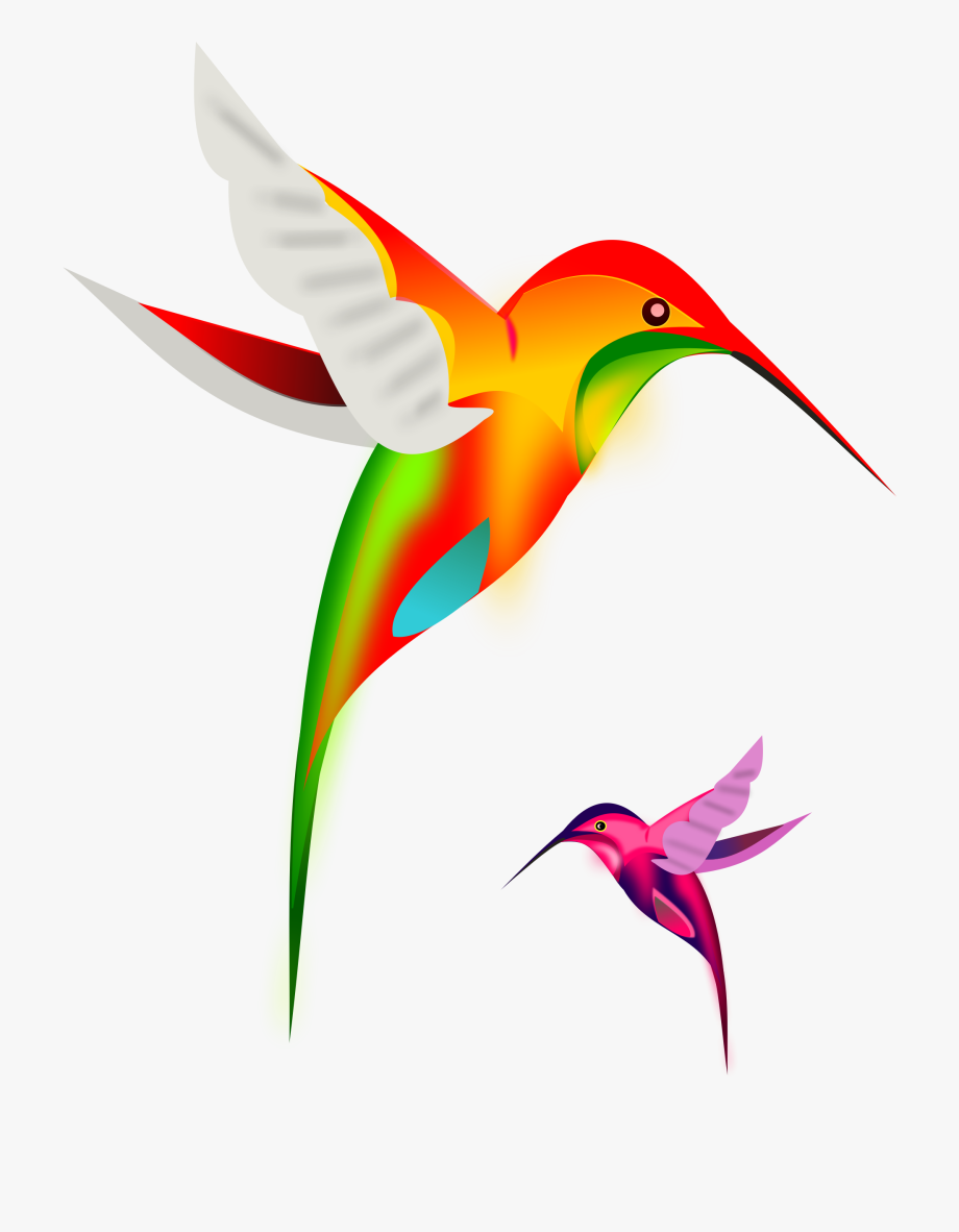 Colibri Birds By Gurica Hummingbirds Pinterest And.