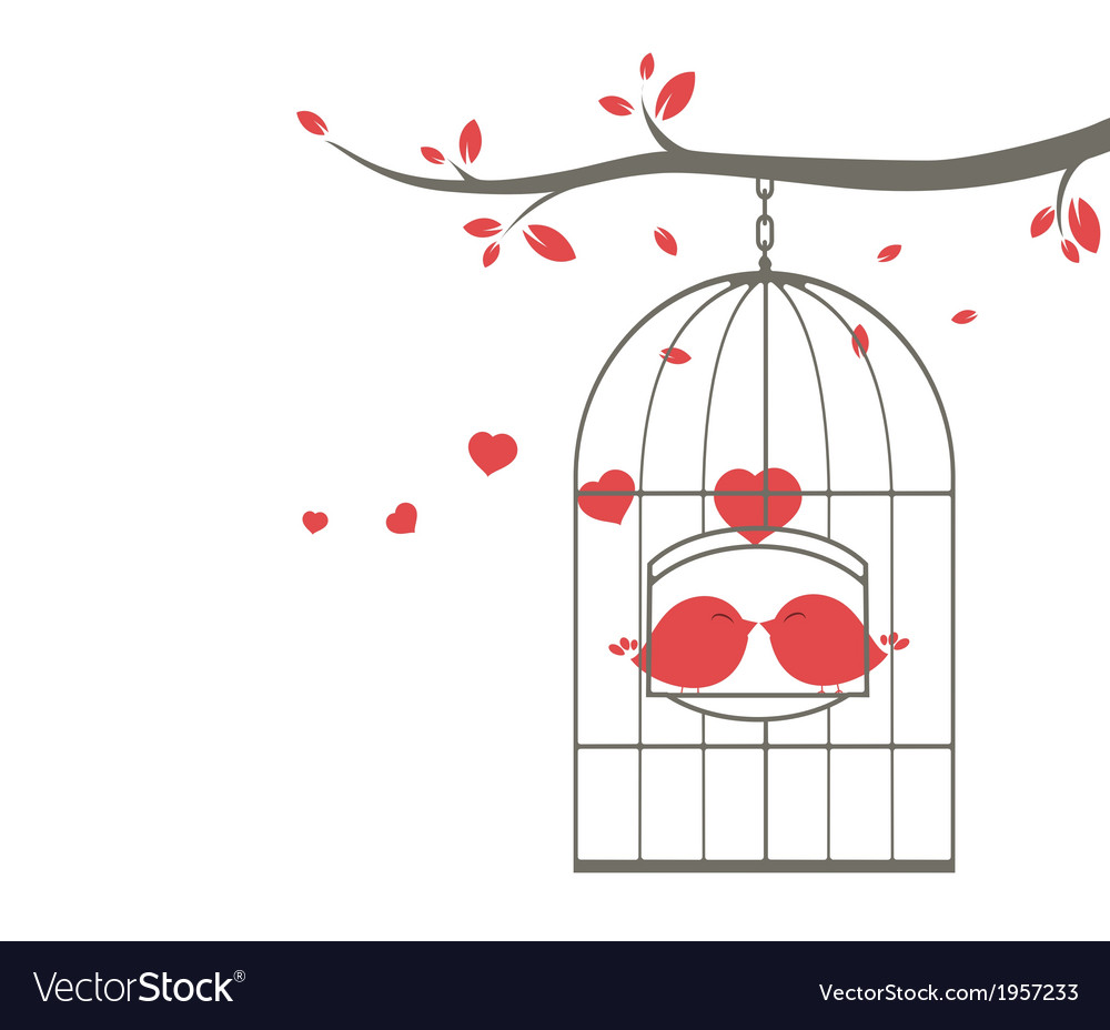Love birds on the cage.