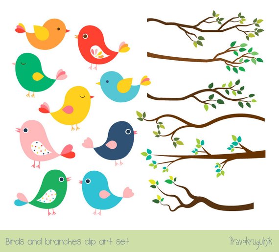Cute bird clipart set, Tree branch clip art, Colorful spring.